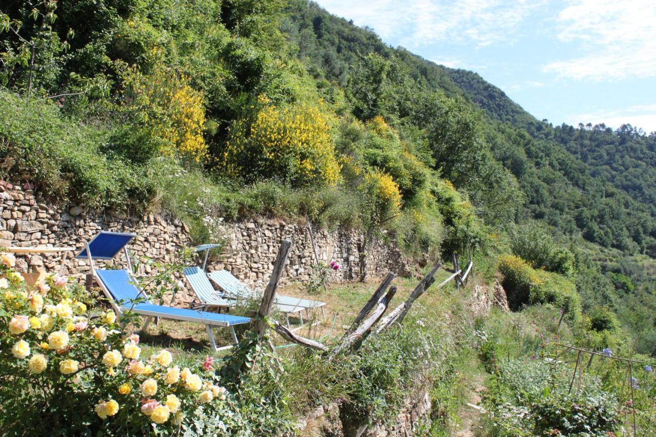 Вилла Rural House Vignai Экстерьер фото