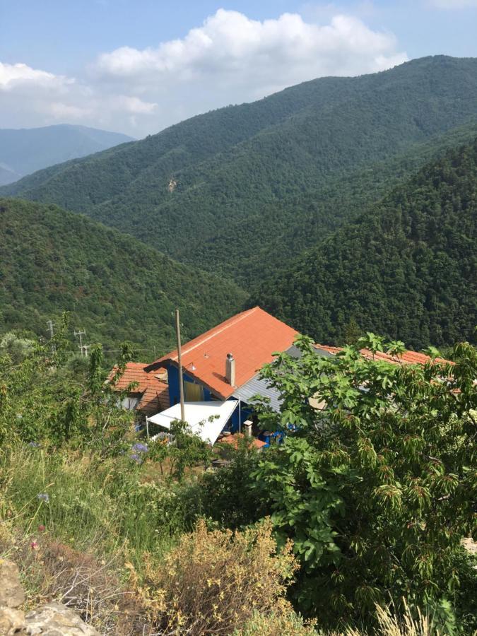 Вилла Rural House Vignai Экстерьер фото